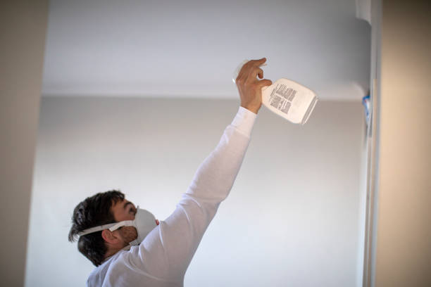 Best Commercial Mold Removal  in Schuylkill Haven, PA